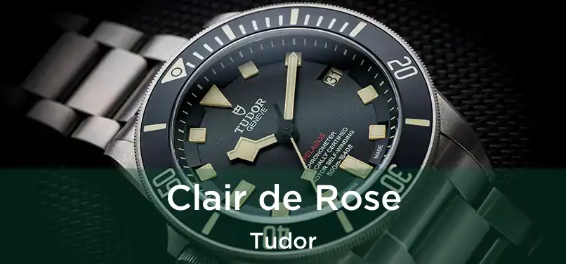  Clair de Rose Tudor