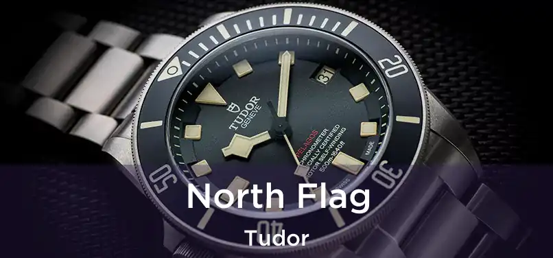  North Flag Tudor