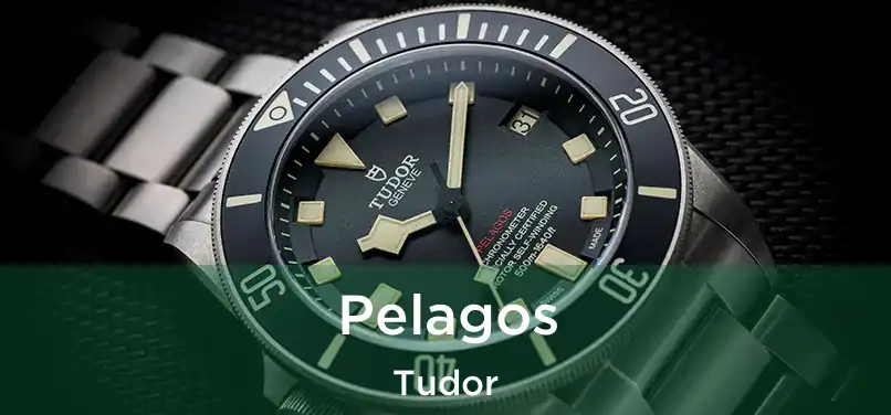  Pelagos Tudor