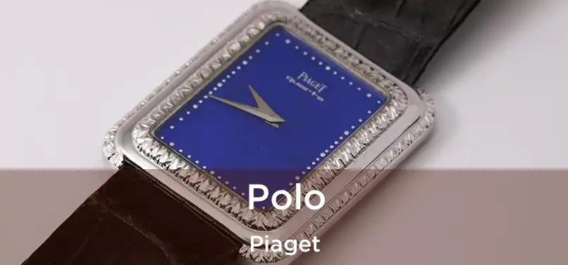  Polo Piaget