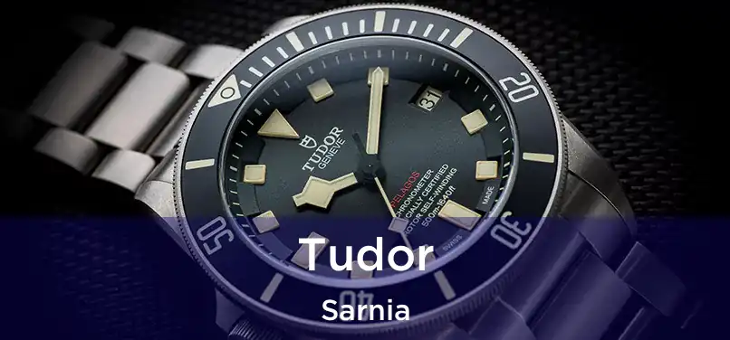  Tudor Sarnia